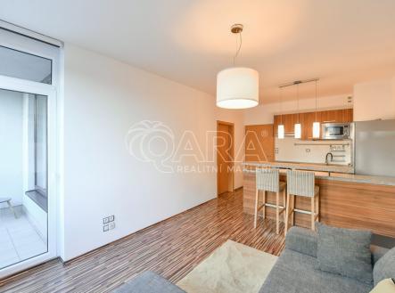 Pronájem bytu, 2+kk, 47 m²