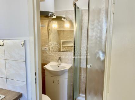 Pronájem bytu, 1+kk, 17 m²