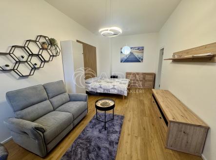 Pronájem bytu, 1+kk, 52 m²