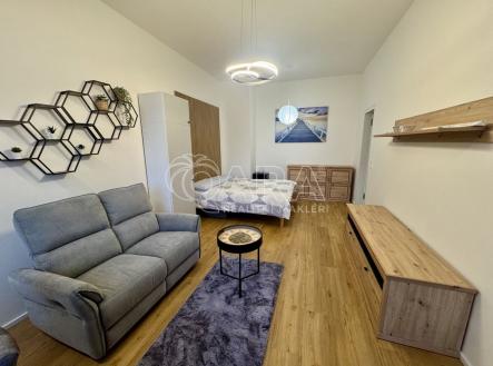 Pronájem bytu, 1+kk, 52 m²