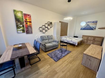 Pronájem bytu, 1+kk, 52 m²