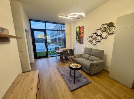 Pronájem bytu, 1+kk, 52 m²
