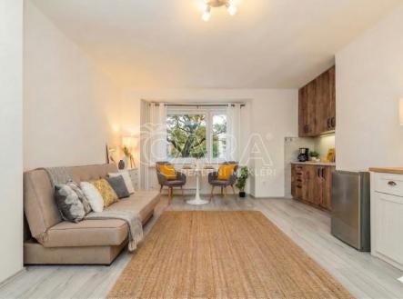 Prodej bytu, 1+kk, 27 m²