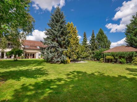 Prodej domu/vily, 540 m²