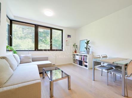 Pronájem bytu, 2+kk, 47 m²