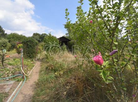 Pronájem pozemku, zahrada, 165 m²