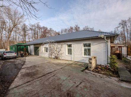 Pronájem obchodní prostor, 252 m²