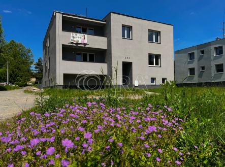 Prodej bytu, 1+kk, 22 m²