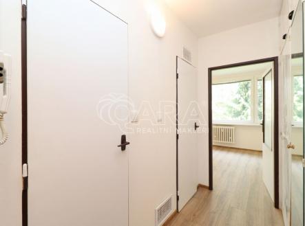 Pronájem bytu, 1+kk, 33 m²