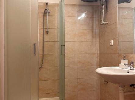 Pronájem bytu, 1+kk, 33 m²