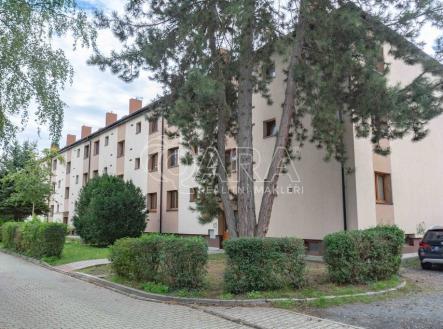 Pronájem bytu, 1+1, 43 m² obrázek