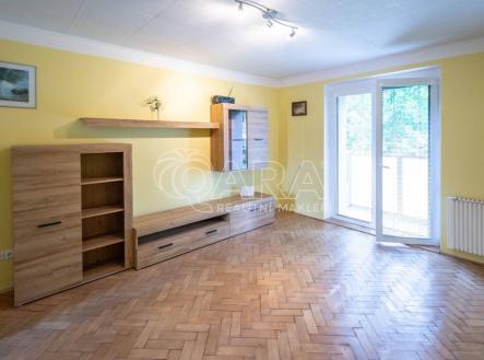 Pronájem bytu, 1+1, 43 m²