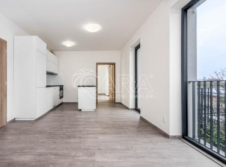 Prodej bytu, 2+kk, 67 m²