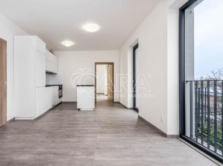 Prodej bytu, 2+kk, 67 m²