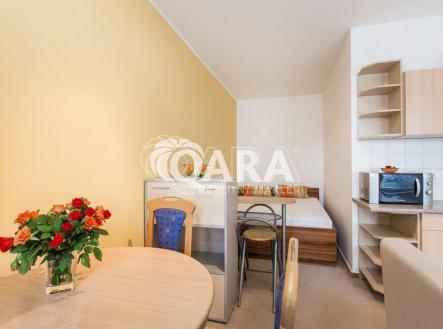 Pronájem bytu, 1+kk, 28 m²