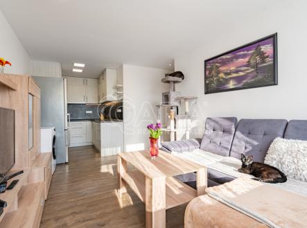 Prodej bytu, 2+kk, 45 m²