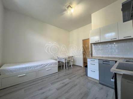 Pronájem bytu, 1+kk, 22 m²