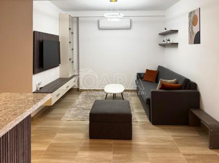 Orchid Casel de Paradise.