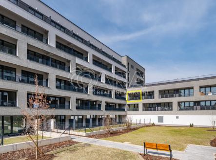 Pronájem bytu, 1+kk, 45 m²