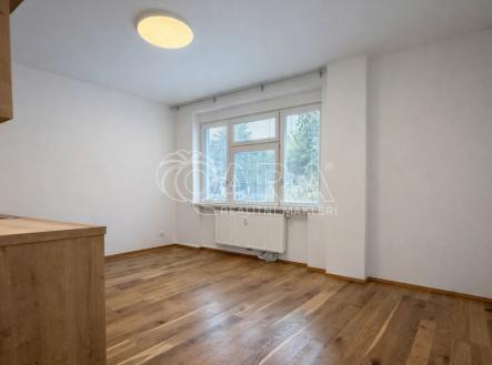 Pronájem bytu, 1+kk, 26 m²