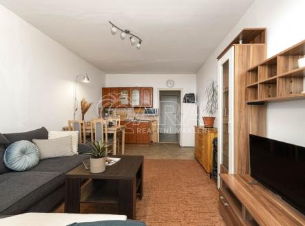 Prodej bytu, 1+kk, 30 m²