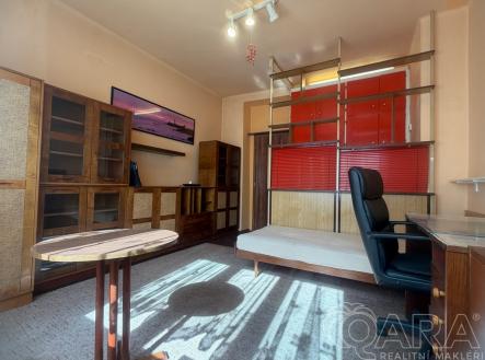 Pronájem bytu, 1+kk, 16 m²