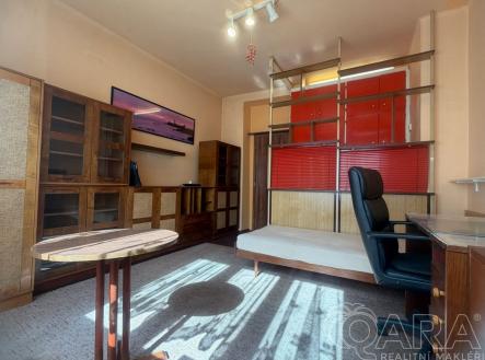 Pronájem bytu, 1+kk, 16 m²