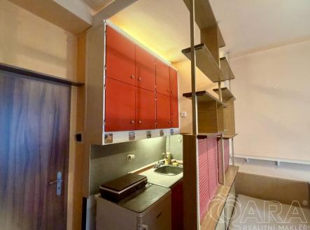 Pronájem bytu, 1+kk, 16 m²