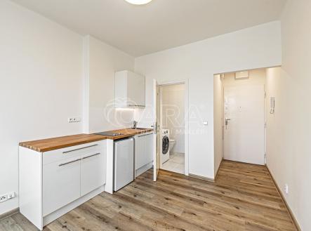 Pronájem bytu, 1+kk, 17 m²
