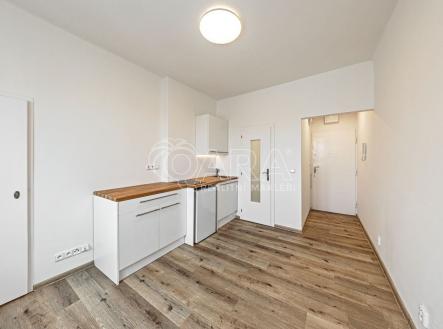 Pronájem bytu, 1+kk, 17 m²