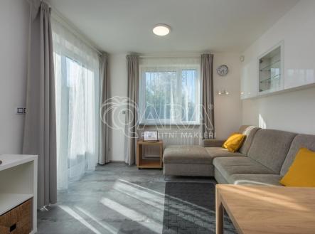 Pronájem bytu, 1+kk, 25 m²