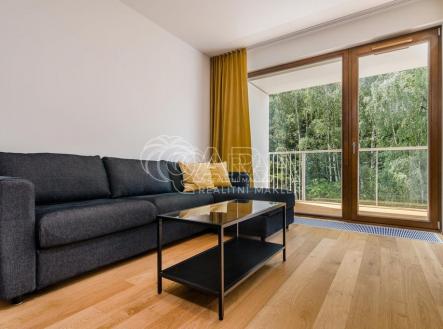 Pronájem bytu, 2+kk, 53 m²