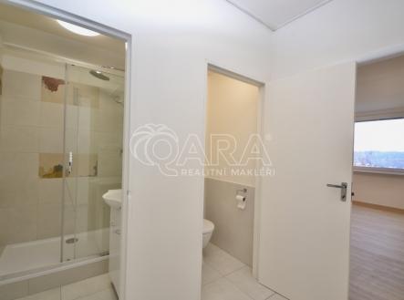 Pronájem bytu, 1+1, 43 m²