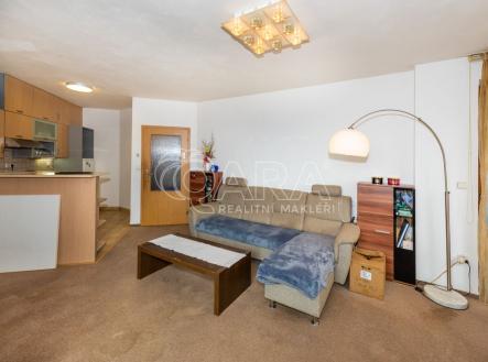 Prodej bytu, 1+1, 58 m²