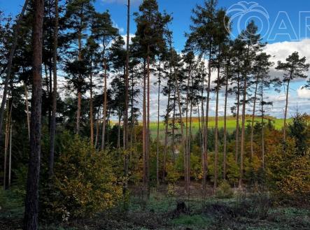 Prodej pozemku, les, 8 586 m²