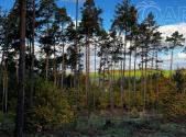 Prodej pozemku, les, 8 586 m²