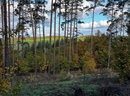 Prodej pozemku, les, 8 586 m²