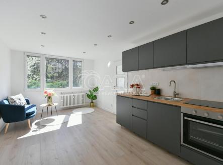 Prodej bytu, 2+kk, 39 m²