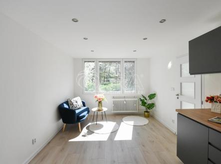 Prodej bytu, 2+kk, 39 m²