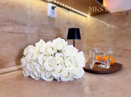 Prodej bytu, 1+kk, 16 m²