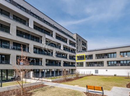 Pronájem bytu, 1+kk, 45 m²