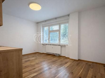 Pronájem bytu, 1+kk, 26 m²