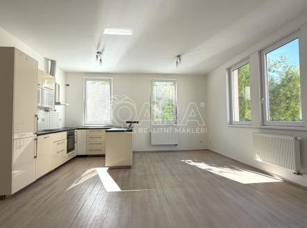 Pronájem bytu, 3+kk, 95 m²