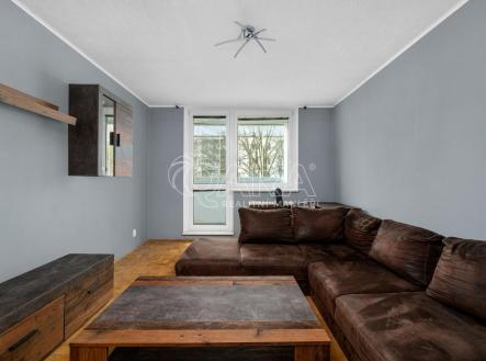 Prodej bytu, 3+1, 75 m²