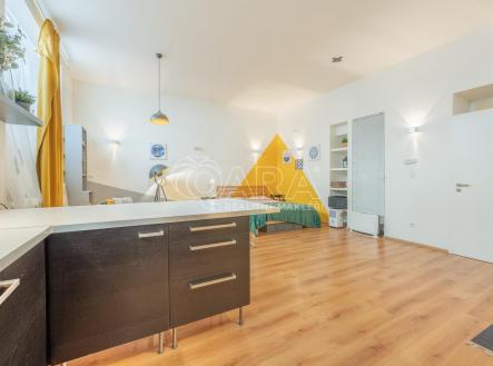 Pronájem bytu, 1+kk, 53 m²