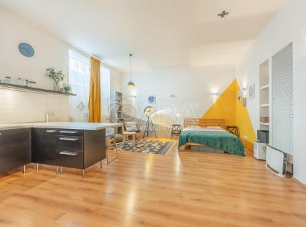 Pronájem bytu, 1+kk, 53 m²