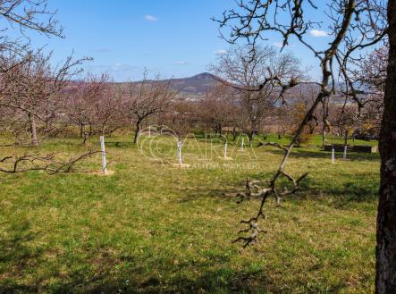 Prodej pozemku, zahrada, 1 403 m²