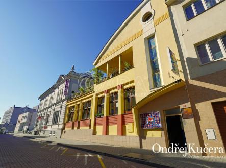 Prodej nájemního domu, 1 000 m²