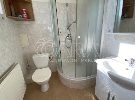 Pronájem bytu, atypický, 27 m²