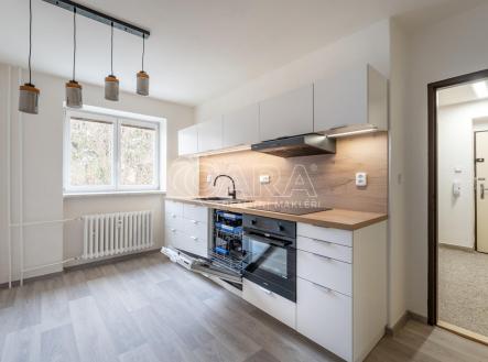 Pronájem bytu, 2+1, 47,5 m²